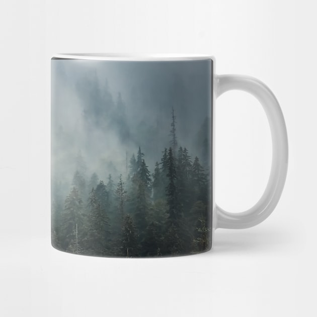 Sunlit foggy fir forest by psychoshadow